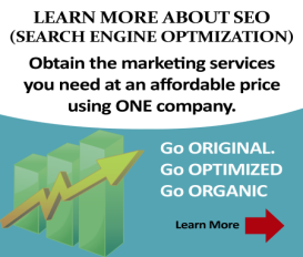 Search Engine Optimization Tampa Florida